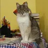 Отзыв от Клавдия Мешкова